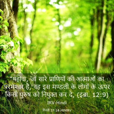 Picture 03 - गिनती 27:16 HINIRV - “यहोवा, जो सारे - Bible Verse Picture