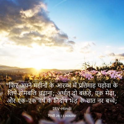 Picture 03 - गिनती 28:11 HINIRV - “फिर अपने महीनों - Bible Verse Picture