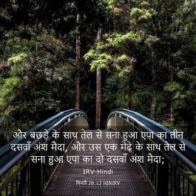 Picture 03 - गिनती 28:12 HINIRV - और बछड़े के साथ तेल - Bible Verse Picture