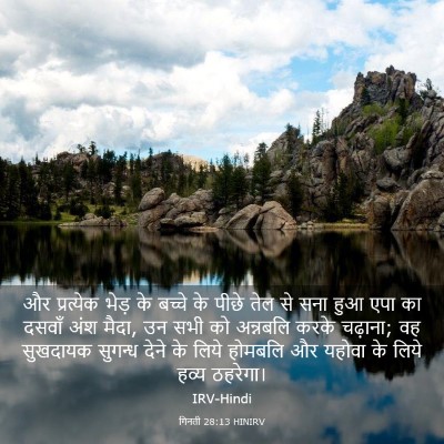 Picture 03 - गिनती 28:13 HINIRV - और प्रत्येक भेड़ - Bible Verse Picture