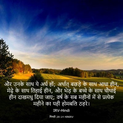 Picture 03 - गिनती 28:14 HINIRV - और उनके साथ ये अर्घ - Bible Verse Picture