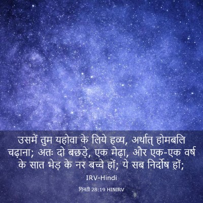 Picture 03 - गिनती 28:19 HINIRV - उसमें तुम यहोवा के - Bible Verse Picture