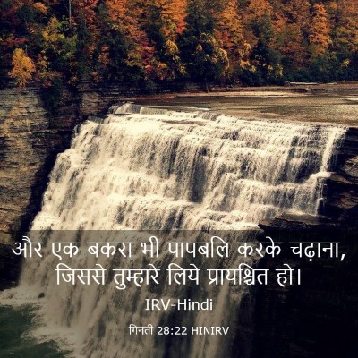 Picture 03 - गिनती 28:22 HINIRV - और एक बकरा भी - Bible Verse Picture