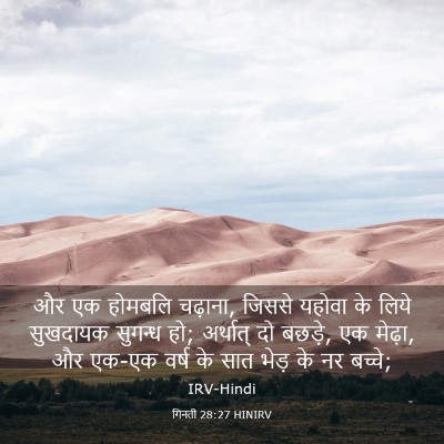 Picture 03 - गिनती 28:27 HINIRV - और एक होमबलि - Bible Verse Picture
