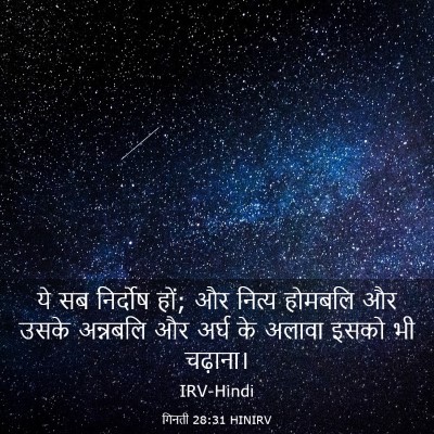 Picture 03 - गिनती 28:31 HINIRV - ये सब निर्दोष हों; - Bible Verse Picture