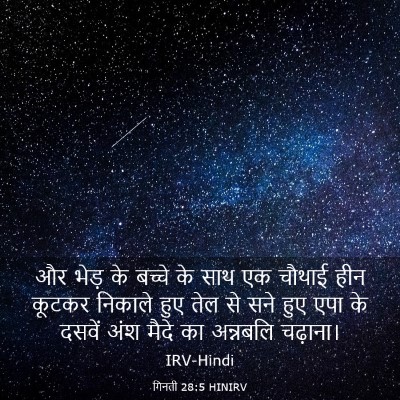 Picture 03 - गिनती 28:5 HINIRV - और भेड़ के बच्चे के - Bible Verse Picture