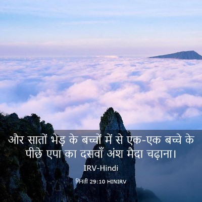 Picture 03 - गिनती 29:10 HINIRV - और सातों भेड़ के - Bible Verse Picture