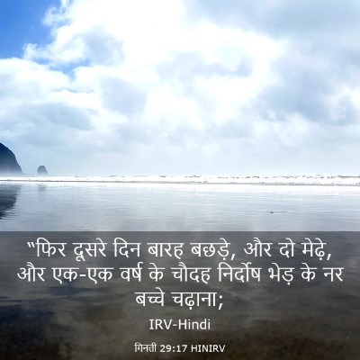 Picture 03 - गिनती 29:17 HINIRV - “फिर दूसरे दिन - Bible Verse Picture