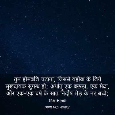 Picture 03 - गिनती 29:2 HINIRV - तुम होमबलि चढ़ाना, - Bible Verse Picture
