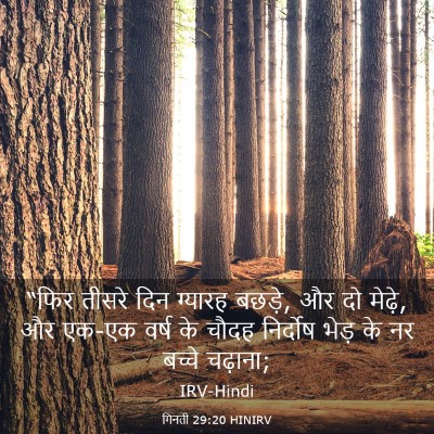 Picture 03 - गिनती 29:20 HINIRV - “फिर तीसरे दिन - Bible Verse Picture