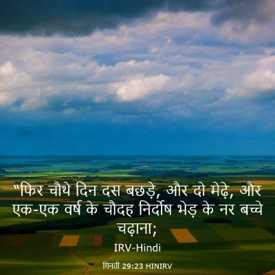 Picture 03 - गिनती 29:23 HINIRV - “फिर चौथे दिन दस - Bible Verse Picture