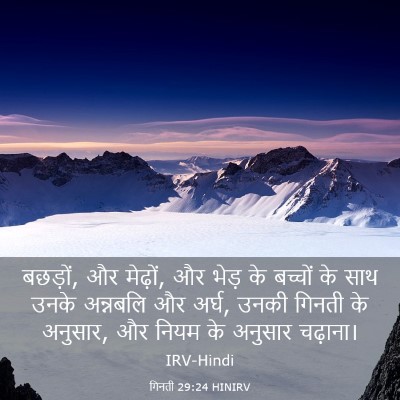 Picture 03 - गिनती 29:24 HINIRV - बछड़ों, और मेढ़ों, - Bible Verse Picture