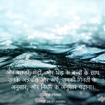 Picture 03 - गिनती 29:27 HINIRV - और बछड़ों, मेढ़ों, - Bible Verse Picture