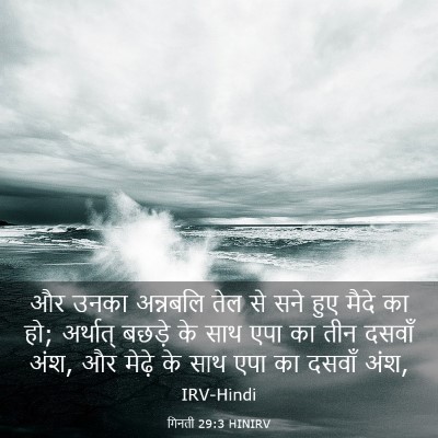 Picture 03 - गिनती 29:3 HINIRV - और उनका अन्नबलि - Bible Verse Picture