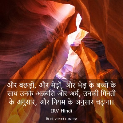 Picture 03 - गिनती 29:33 HINIRV - और बछड़ों, और - Bible Verse Picture