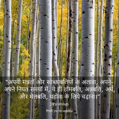 Picture 03 - गिनती 29:39 HINIRV - “अपनी मन्नतों और - Bible Verse Picture