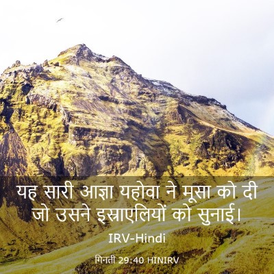 Picture 03 - गिनती 29:40 HINIRV - यह सारी आज्ञा - Bible Verse Picture