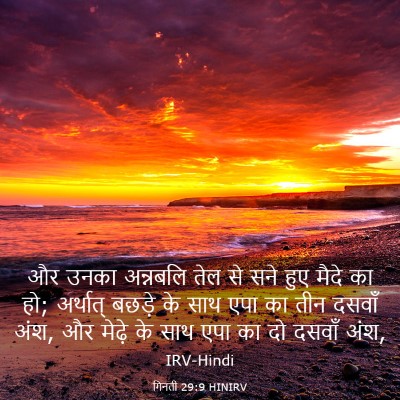 Picture 03 - गिनती 29:9 HINIRV - और उनका अन्नबलि - Bible Verse Picture