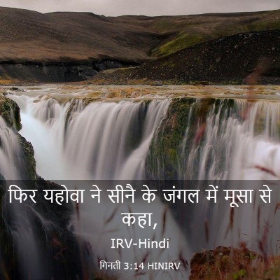 Picture 03 - गिनती 3:14 HINIRV - फिर यहोवा ने सीनै - Bible Verse Picture