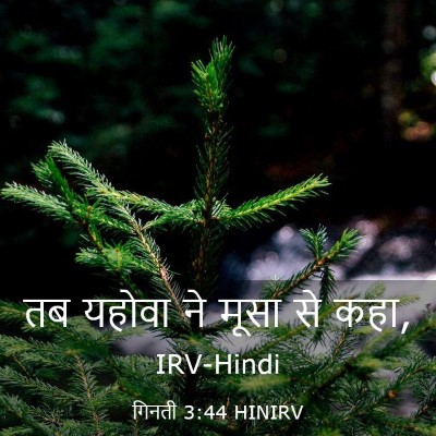 Picture 03 - गिनती 3:44 HINIRV - तब यहोवा ने मूसा से - Bible Verse Picture