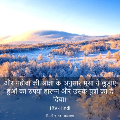 Picture 03 - गिनती 3:51 HINIRV - और यहोवा की आज्ञा - Bible Verse Picture