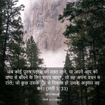Picture 03 - गिनती 30:2 HINIRV - जब कोई पुरुष यहोवा - Bible Verse Picture
