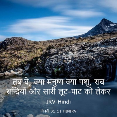 Picture 03 - गिनती 31:11 HINIRV - तब वे, क्या मनुष्य - Bible Verse Picture