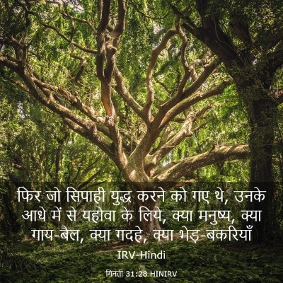 Picture 03 - गिनती 31:28 HINIRV - फिर जो सिपाही - Bible Verse Picture