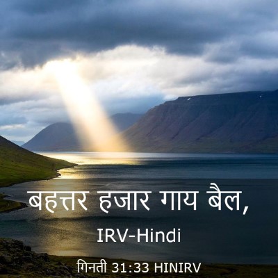 Picture 03 - गिनती 31:33 HINIRV - बहत्तर हजार गाय - Bible Verse Picture