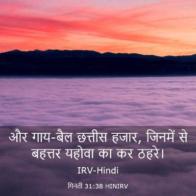 Picture 03 - गिनती 31:38 HINIRV - और गाय-बैल छत्तीस - Bible Verse Picture