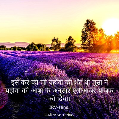 Picture 03 - गिनती 31:41 HINIRV - इस कर को जो यहोवा - Bible Verse Picture
