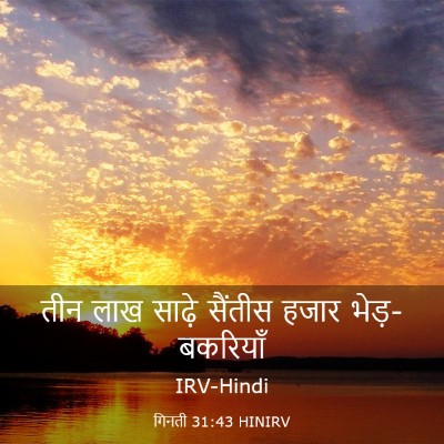 Picture 03 - गिनती 31:43 HINIRV - तीन लाख साढ़े - Bible Verse Picture