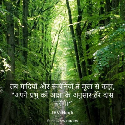 Picture 03 - गिनती 32:25 HINIRV - तब गादियों और - Bible Verse Picture
