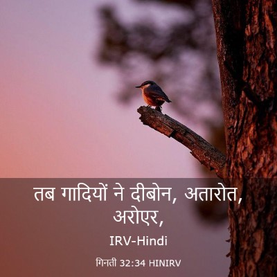 Picture 03 - गिनती 32:34 HINIRV - तब गादियों ने - Bible Verse Picture