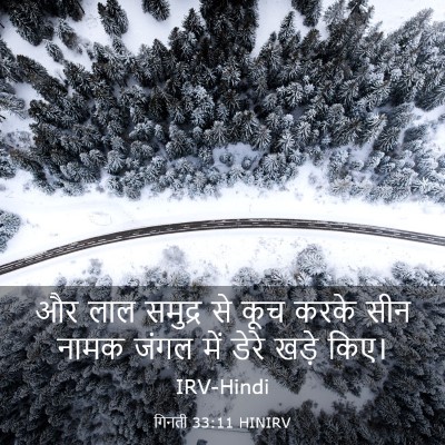 Picture 03 - गिनती 33:11 HINIRV - और लाल समुद्र से - Bible Verse Picture