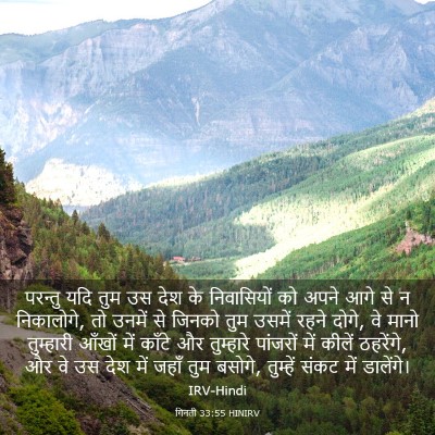 Picture 03 - गिनती 33:55 HINIRV - परन्तु यदि तुम उस - Bible Verse Picture