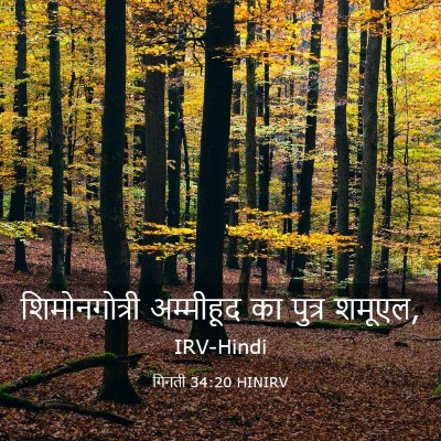 Picture 03 - गिनती 34:20 HINIRV - शिमोनगोत्री - Bible Verse Picture