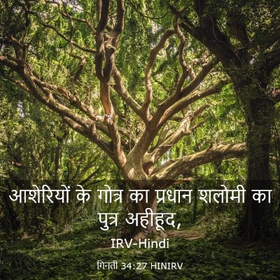 Picture 03 - गिनती 34:27 HINIRV - आशेरियों के गोत्र - Bible Verse Picture