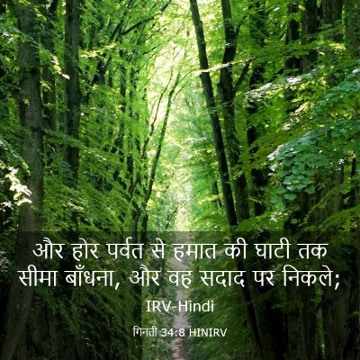 Picture 03 - गिनती 34:8 HINIRV - और होर पर्वत से - Bible Verse Picture