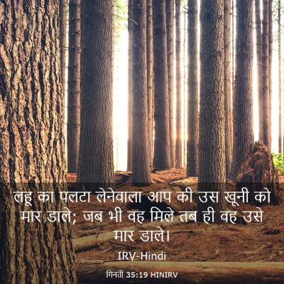 Picture 03 - गिनती 35:19 HINIRV - लहू का पलटा - Bible Verse Picture