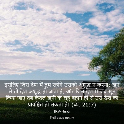 Picture 03 - गिनती 35:33 HINIRV - इसलिए जिस देश में - Bible Verse Picture