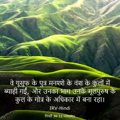 Picture 03 - गिनती 36:12 HINIRV - वे यूसुफ के पुत्र - Bible Verse Picture
