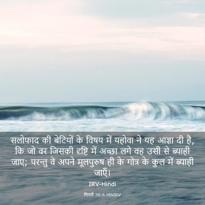 Picture 03 - गिनती 36:6 HINIRV - सलोफाद की बेटियों - Bible Verse Picture