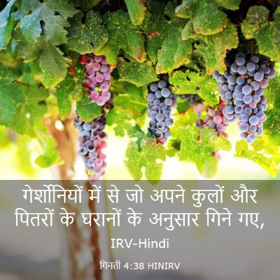 Picture 03 - गिनती 4:38 HINIRV - गेर्शोनियों में - Bible Verse Picture