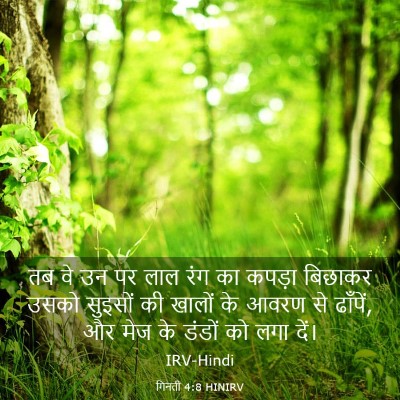 Picture 03 - गिनती 4:8 HINIRV - तब वे उन पर लाल रंग - Bible Verse Picture