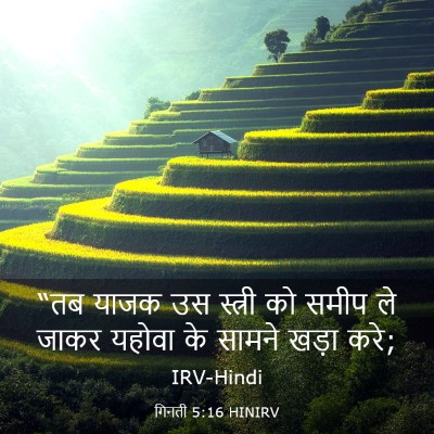 Picture 03 - गिनती 5:16 HINIRV - “तब याजक उस स्त्री - Bible Verse Picture