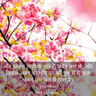 Picture 03 - गिनती 5:17 HINIRV - और याजक मिट्टी के - Bible Verse Picture