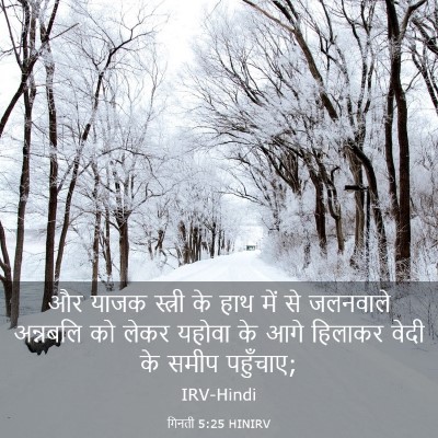 Picture 03 - गिनती 5:25 HINIRV - और याजक स्त्री के - Bible Verse Picture