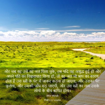 Picture 03 - गिनती 5:27 HINIRV - और जब वह उसे वह जल - Bible Verse Picture