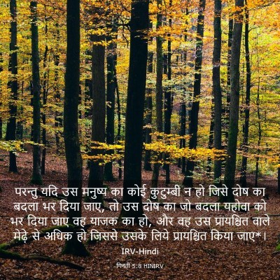 Picture 03 - गिनती 5:8 HINIRV - परन्तु यदि उस - Bible Verse Picture